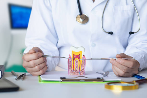 Best Emergency Root Canal Therapy in Brady, TX